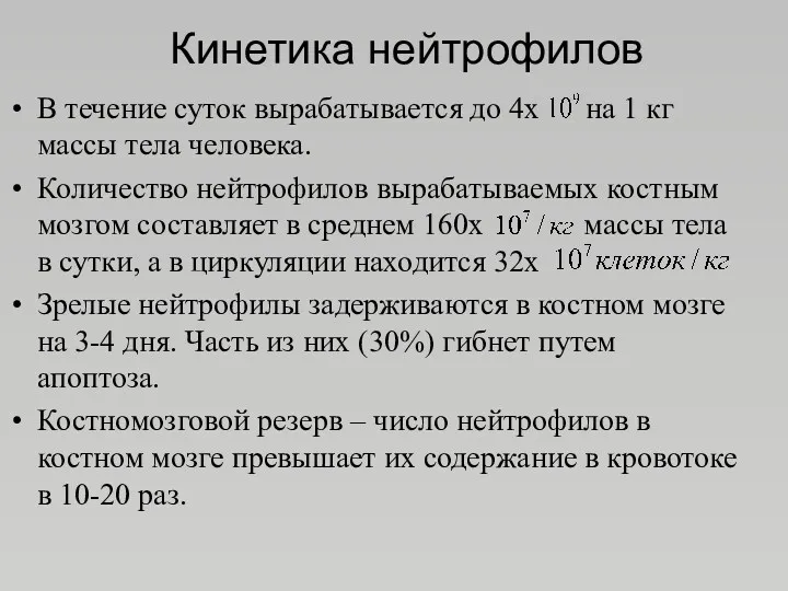 Кинетика нейтрофилов В течение суток вырабатывается до 4х на 1