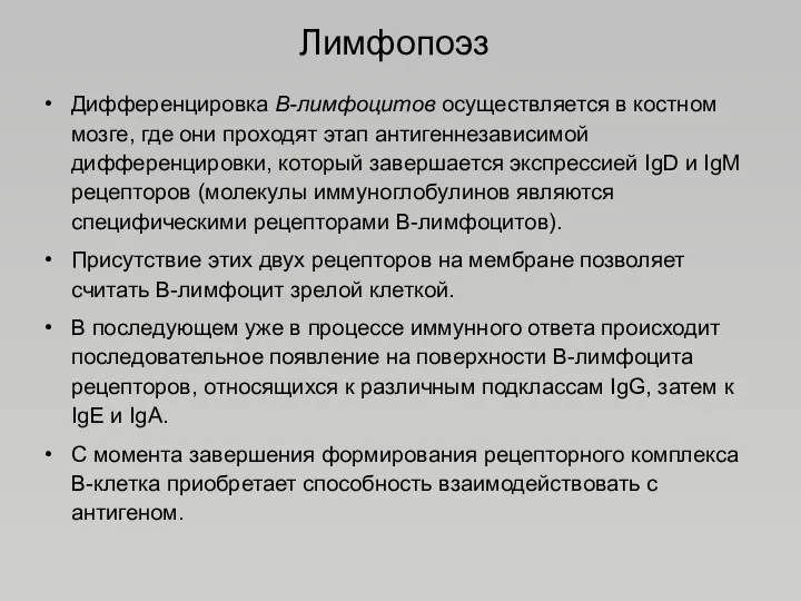 Лимфопоэз Дифференцировка В-лимфоцитов осуществляется в костном мозге, где они проходят