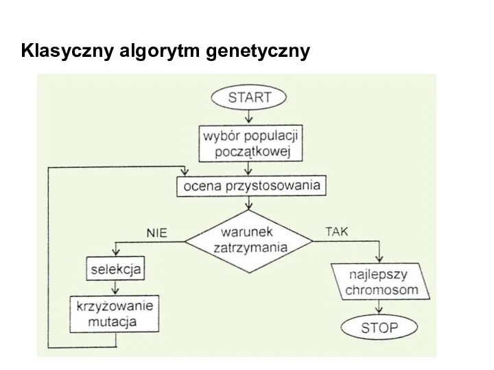 Klasyczny algorytm genetyczny