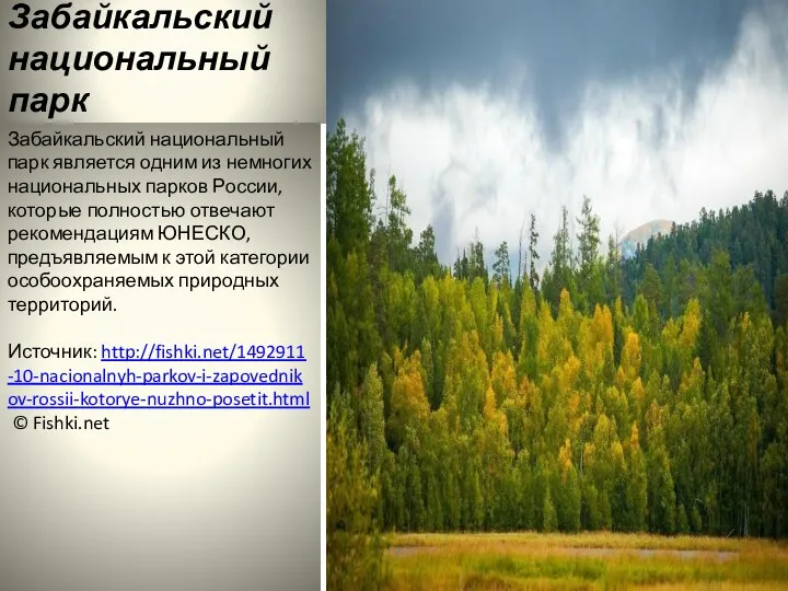 Забайкальский национальный парк Забайкальский национальный парк является одним из немногих