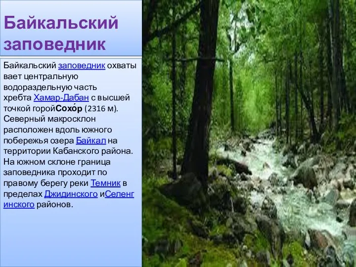 Байкальский заповедник Байкальский заповедник охватывает центральную водораздельную часть хребта Хамар-Дабан