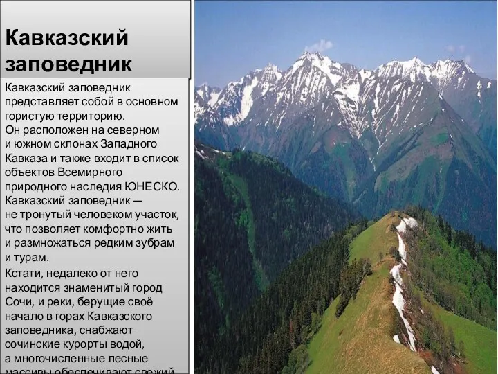 Кавказский заповедник Кавказский заповедник представляет собой в основном гористую территорию.