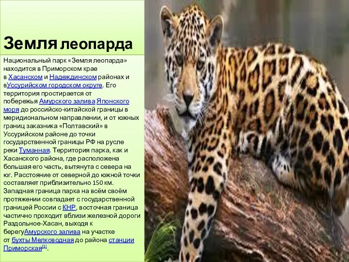 Земля леопарда Национальный парк «Земля леопарда» находится в Приморском крае