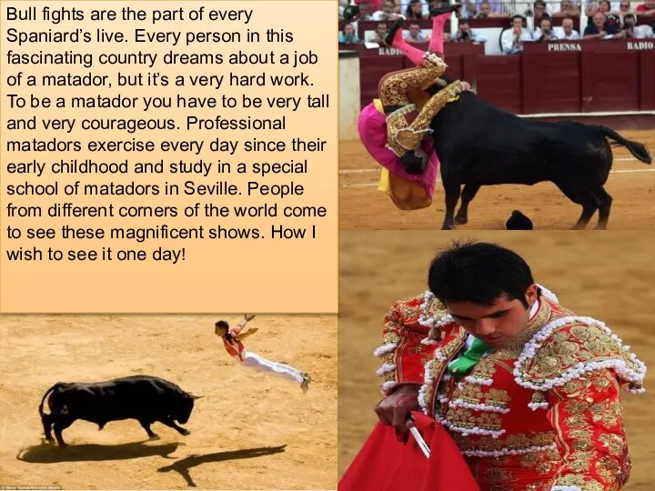 Bull fights are the part of every Spaniard’s live. Every
