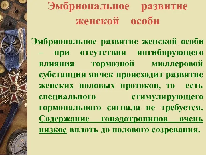 Эмбриональное развитие женской особи Эмбриональное развитие женской особи – при