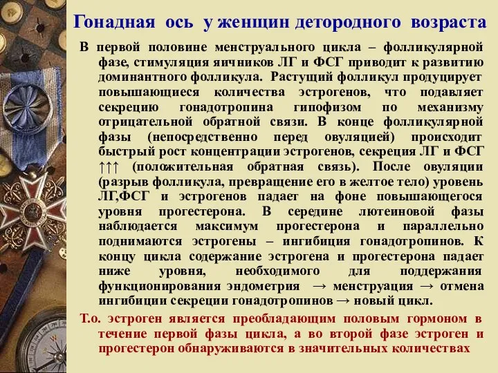 Гонадная ось у женщин детородного возраста В первой половине менструального