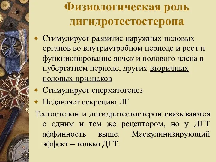 Физиологическая роль дигидротестостерона Стимулирует развитие наружных половых органов во внутриутробном