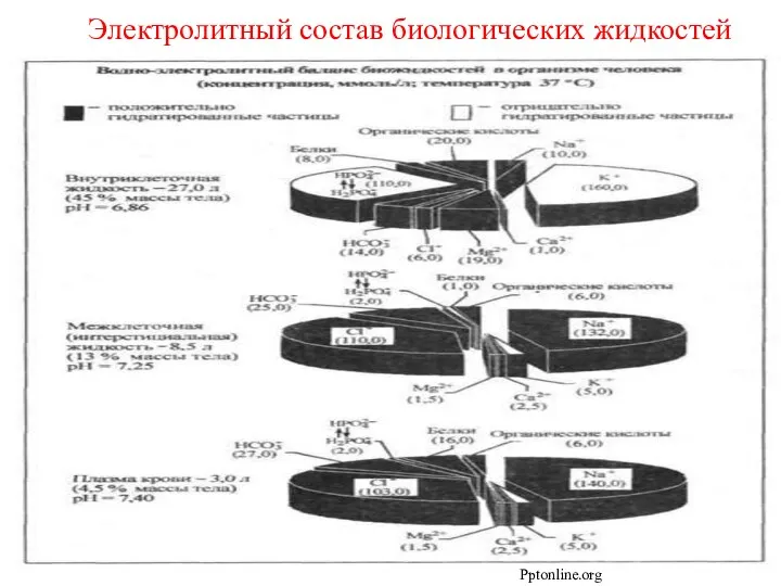 Электролитный состав биологических жидкостей Pptonline.org