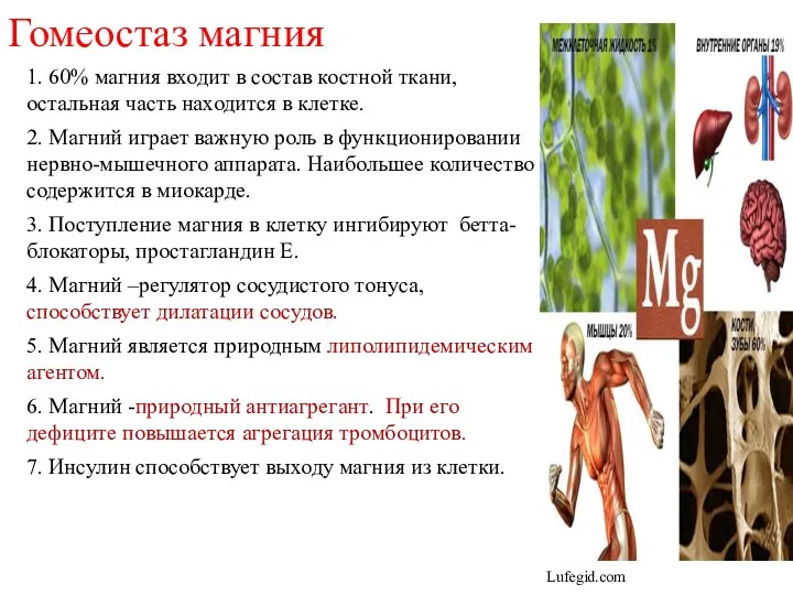 1. 60% магния входит в состав костной ткани, остальная часть