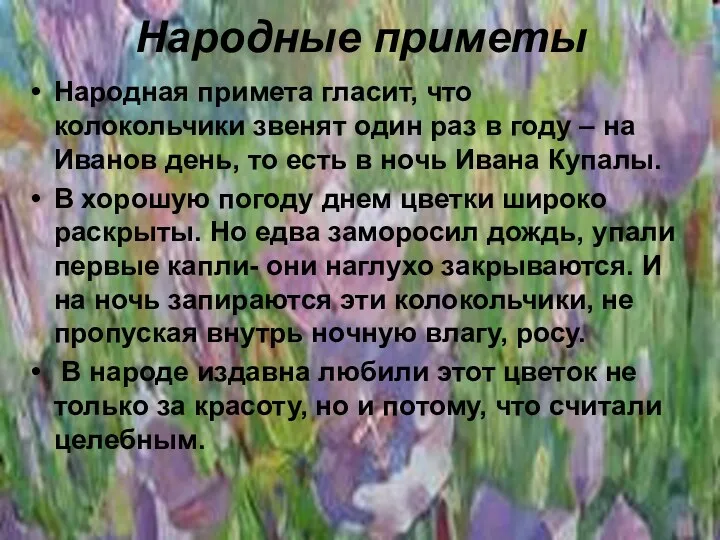 Народные приметы Народная примета гласит, что колокольчики звенят один раз в году –