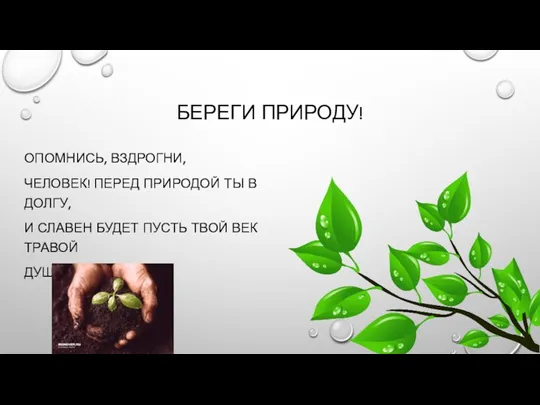 БЕРЕГИ ПРИРОДУ! ОПОМНИСЬ, ВЗДРОГНИ, ЧЕЛОВЕК! ПЕРЕД ПРИРОДОЙ ТЫ В ДОЛГУ,