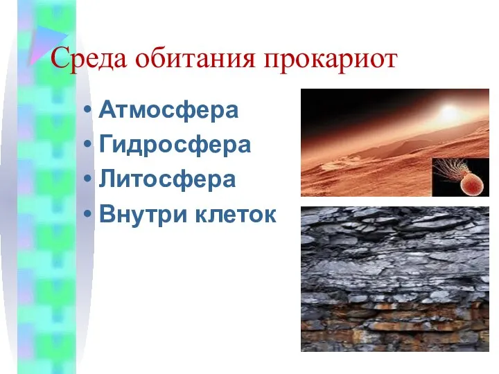 Среда обитания прокариот Атмосфера Гидросфера Литосфера Внутри клеток