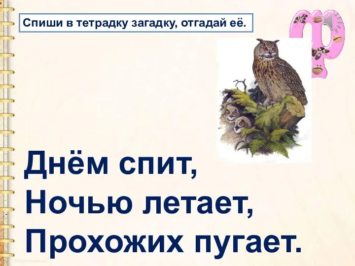 Днём спит, Ночью летает, Прохожих пугает. Спиши в тетрадку загадку, отгадай её.