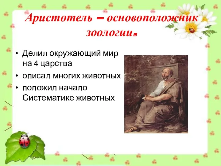 Аристотель – основоположник зоологии. Делил окружающий мир на 4 царства описал многих животных