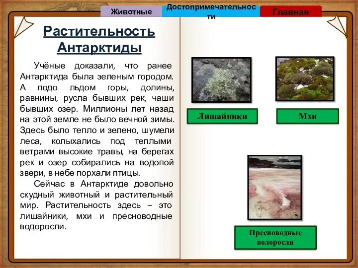 Растительность Антарктиды Лишайники Мхи Пресноводные водоросли Учёные доказали, что ранее