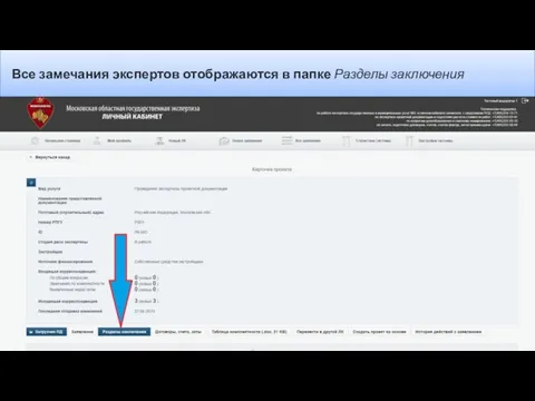 Все замечания экспертов отображаются в папке Разделы заключения