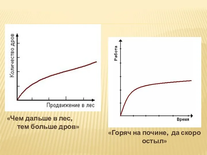 «Чем дальше в лес, тем больше дров» «Горяч на почине, да скоро остыл»