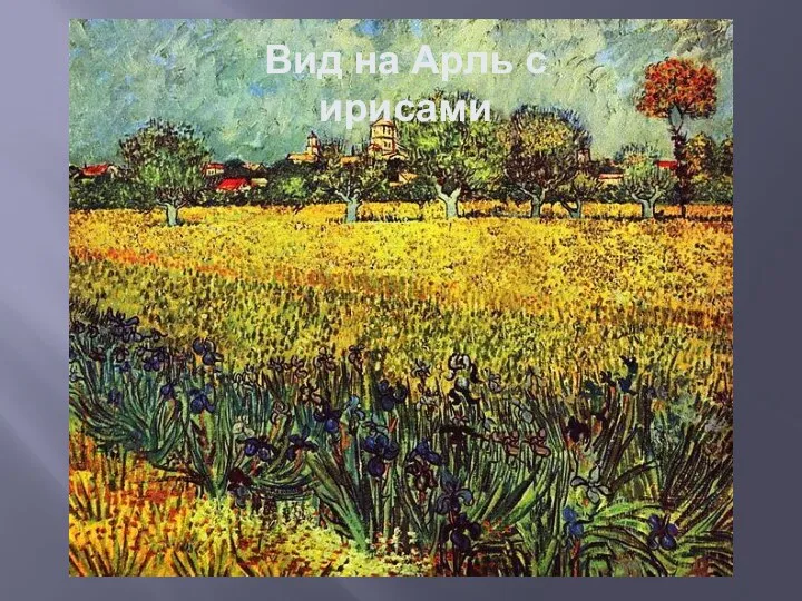 Вид на Арль с ирисами