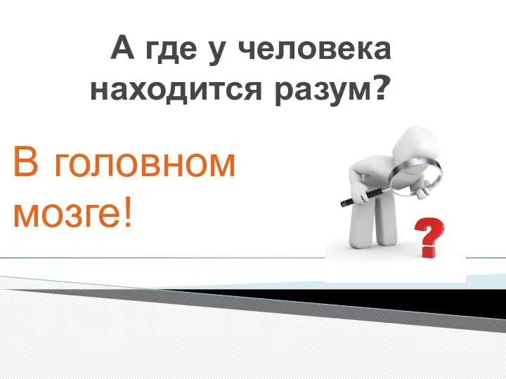 А где у человека находится разум? В головном мозге!