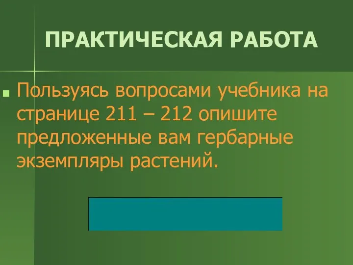 ПРАКТИЧЕСКАЯ РАБОТА Пользуясь вопросами учебника на странице 211 – 212 опишите предложенные вам гербарные экземпляры растений.