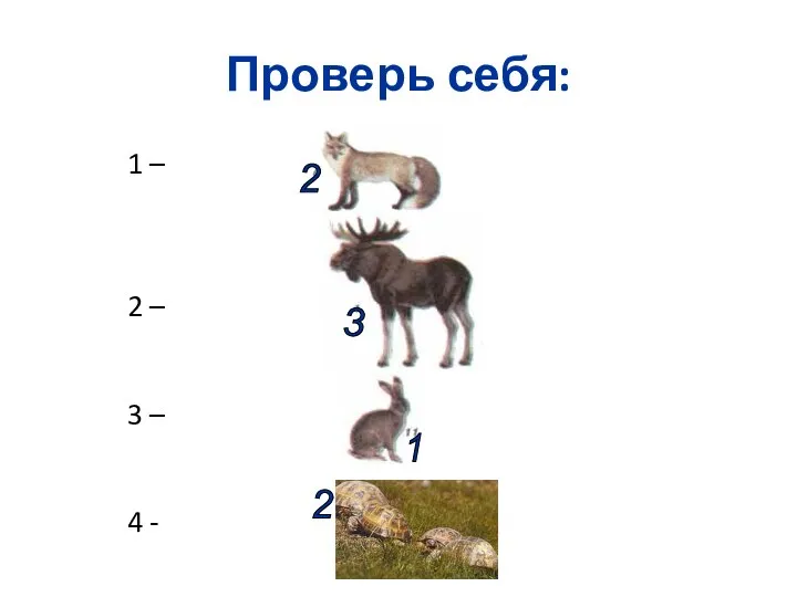 Проверь себя: 1 – 2 – 3 – 4 - 2 3 1 2