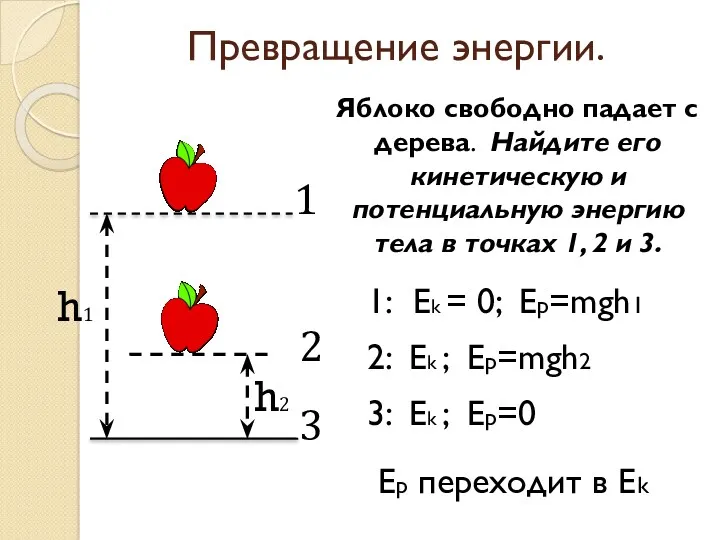 h2 Яблоко свободно падает с дерева. Найдите его кинетическую и потенциальную энергию тела