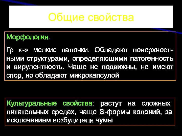 Общие свойства Морфология. Гр «-» мелкие палочки. Обладают поверхност-ными структурами,