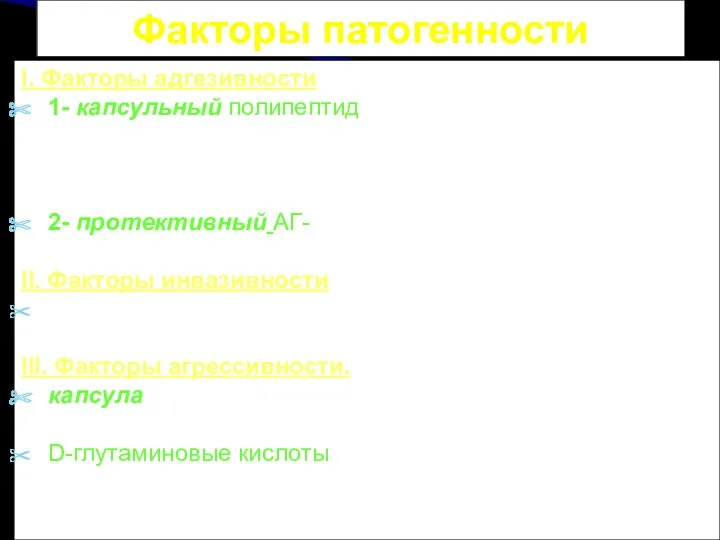 Факторы патогенности I. Факторы адгезивности. 1- капсульный полипептид, обуславливающий адгезию