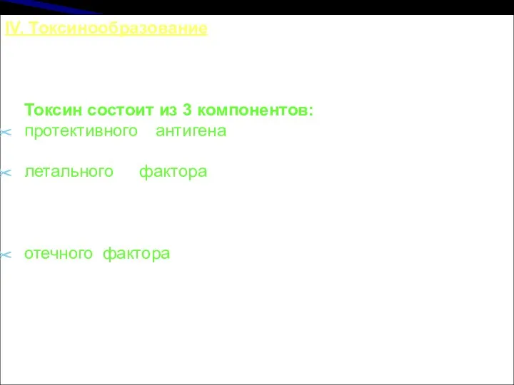 IV. Токсинообразование. Экзотоксин, имеет сложную структуру, его образование кодируется плазмидой,