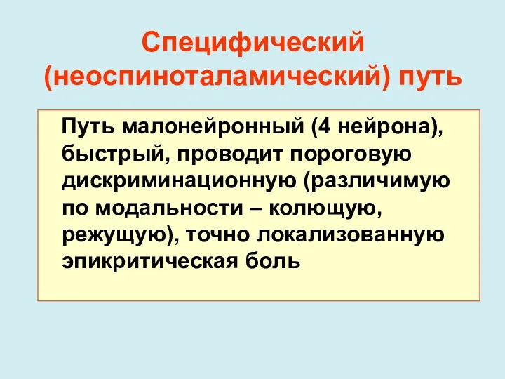 Специфический (неоспиноталамический) путь Путь малонейронный (4 нейрона), быстрый, проводит пороговую