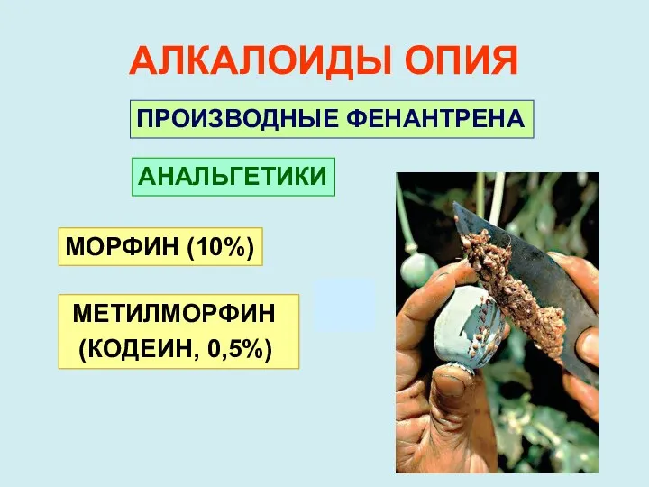 АЛКАЛОИДЫ ОПИЯ ПРОИЗВОДНЫЕ ФЕНАНТРЕНА АНАЛЬГЕТИКИ МОРФИН (10%)