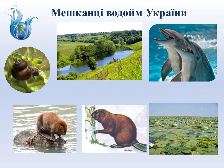Мешканці водойм України
