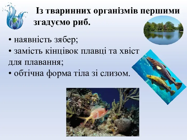 • наявність зябер; • замість кінцівок плавці та хвіст для