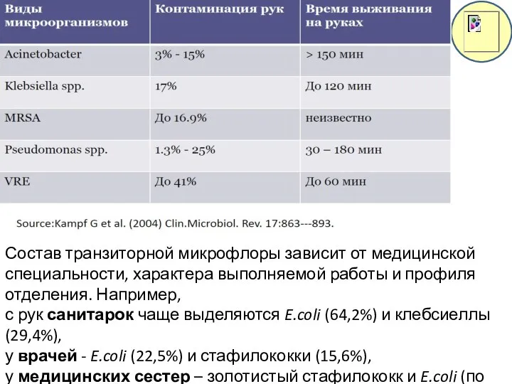 Состав транзиторной микрофлоры зависит от медицинской специальности, характера выполняемой работы