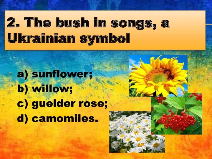 2. The bush in songs, a Ukrainian symbol a) sunflower;