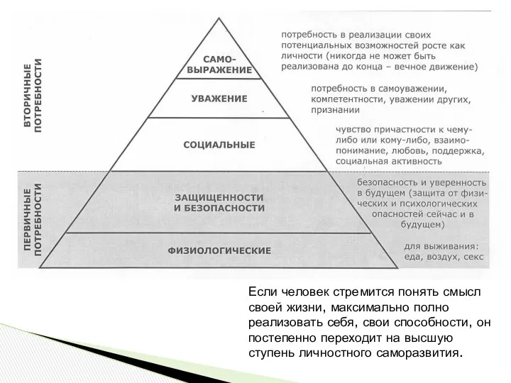 Если человек стремится понять смысл своей жизни, максимально полно реализовать