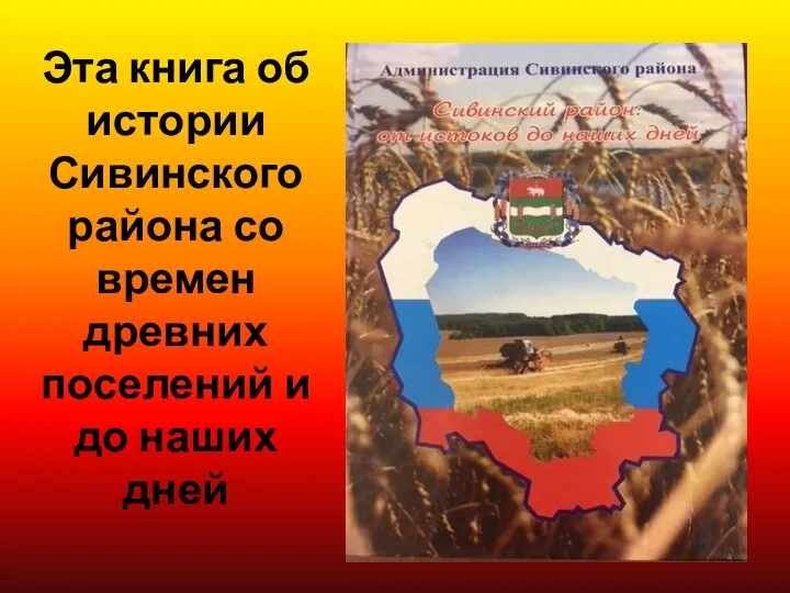 Эта книга об истории Сивинского района со времен древних поселений и до наших дней