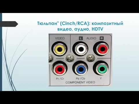 Тюльпан" (Cinch/RCA): композитный видео, аудио, HDTV