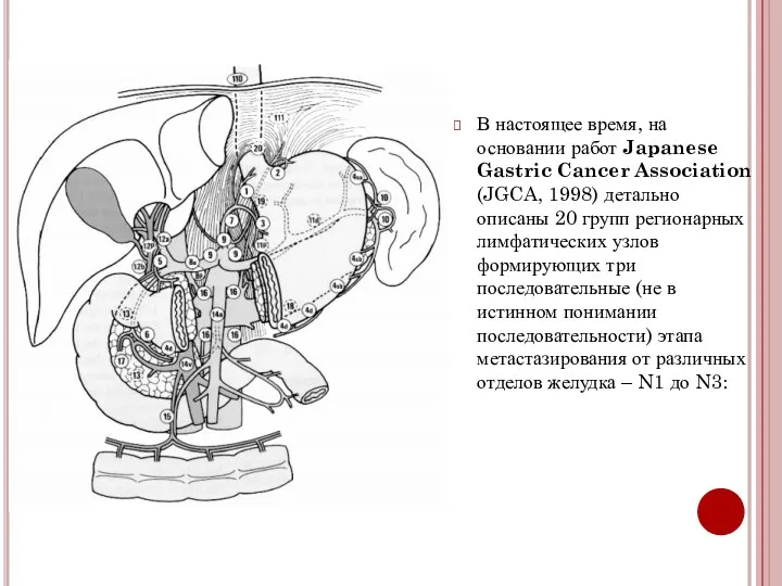 В настоящее время, на основании работ Japanese Gastric Cancer Association