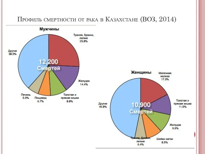 Профиль смертности от рака в Казахстане (ВОЗ, 2014)