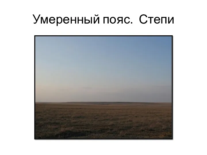 Умеренный пояс. Степи