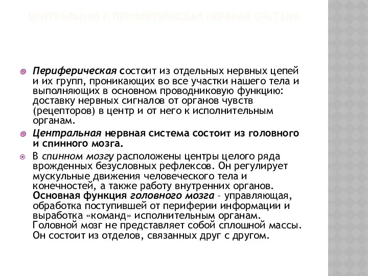 ЦЕНТРАЛЬНАЯ И ПЕРИФЕРИЧЕСКАЯ НЕРВНАЯ СИСТЕМА Периферическая состоит из отдельных нервных