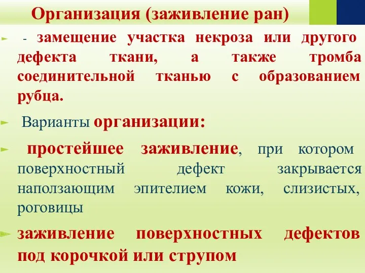 Организация (заживление ран) - замещение участка некроза или другого дефекта