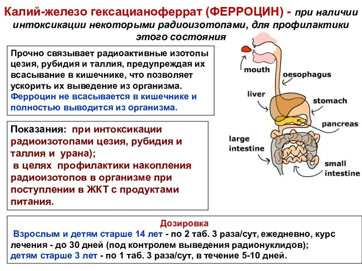 Прочно связывает радиоактивные изотопы цезия, рубидия и таллия, предупреждая их