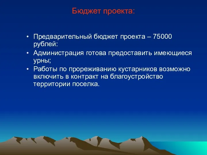 Бюджет проекта: Предварительный бюджет проекта – 75000 рублей: Администрация готова