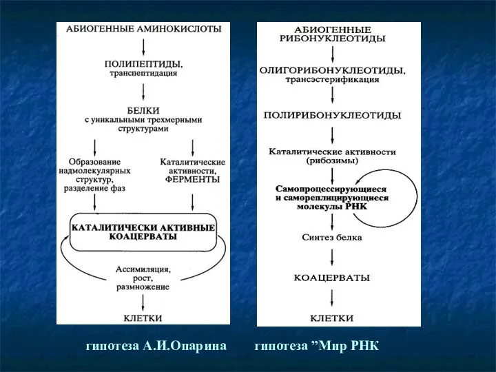 гипотеза А.И.Опарина гипотеза ”Мир РНК