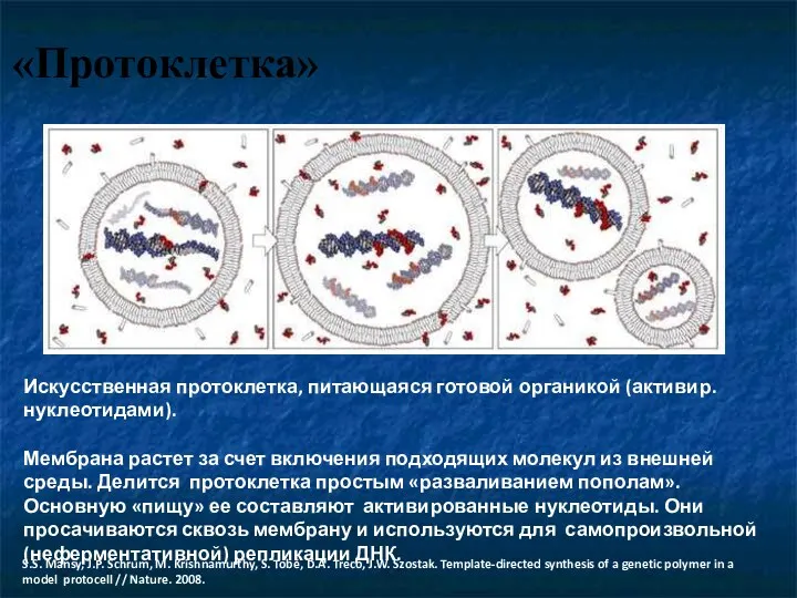 «Протоклетка» Искусственная протоклетка, питающаяся готовой органикой (активир. нуклеотидами). Мембрана растет