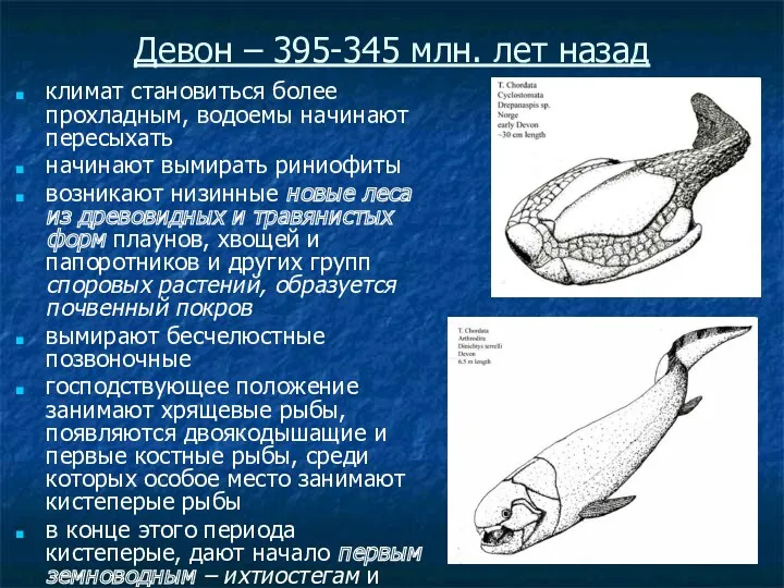 климат становиться более прохладным, водоемы начинают пересыхать начинают вымирать риниофиты