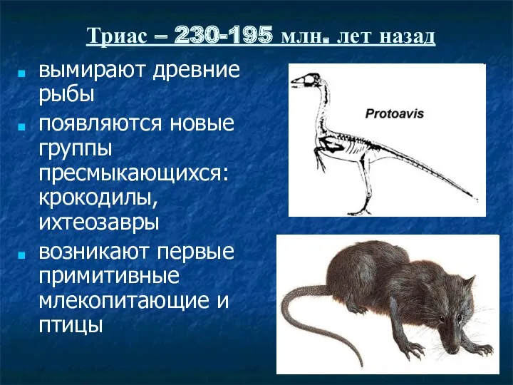 вымирают древние рыбы появляются новые группы пресмыкающихся: крокодилы, ихтеозавры возникают