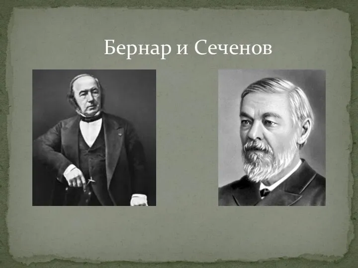 Бернар и Сеченов
